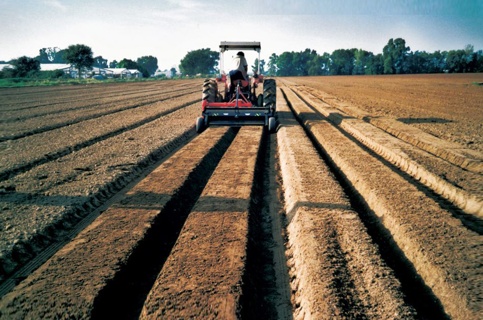 AGRO-RIEGOS MONTERO SL