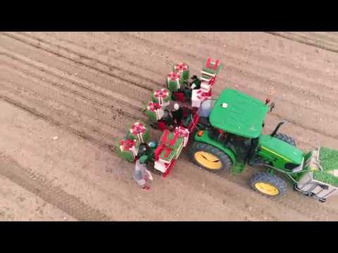 AGRO-RIEGOS MONTERO SL