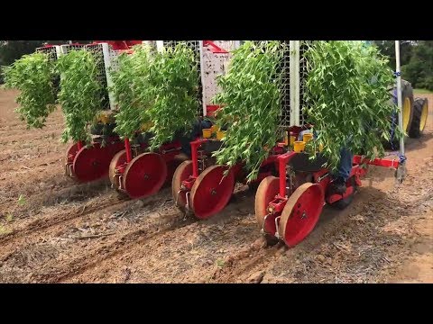 AGRO-RIEGOS MONTERO SL